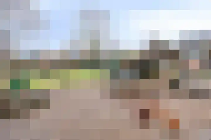 Garstlandweg 4 Rosmalen thumbnail 38