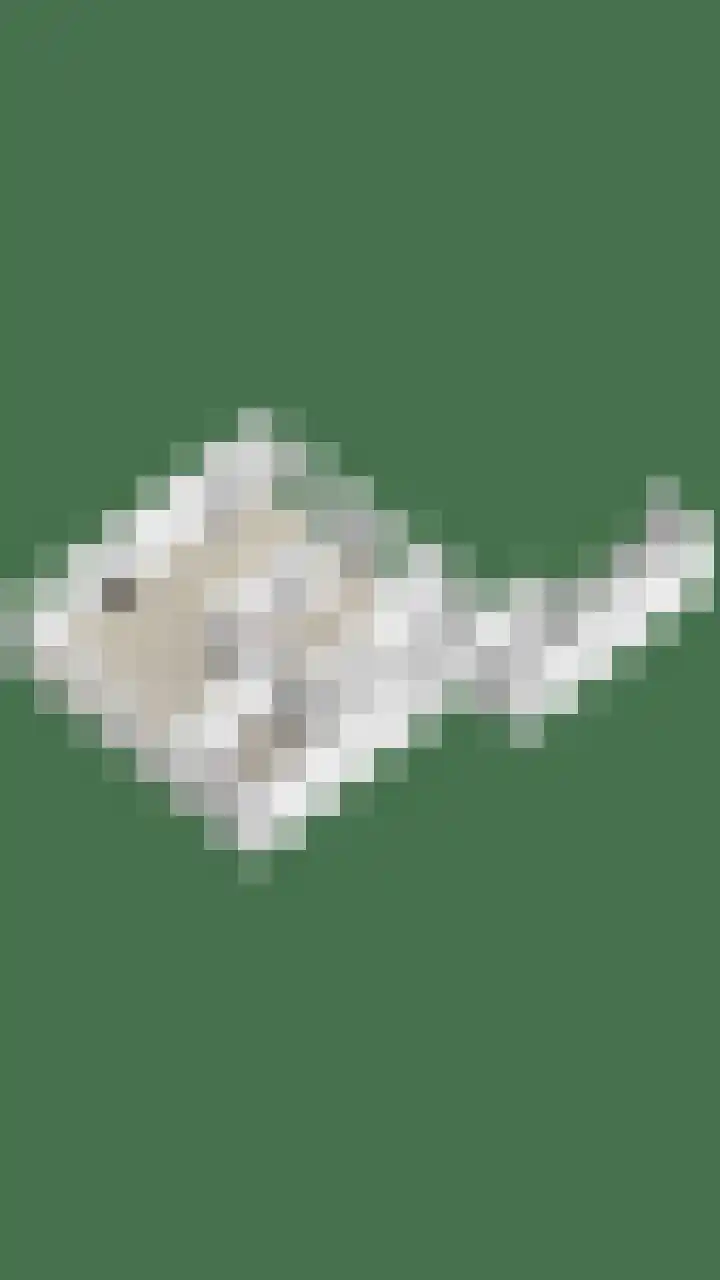 Garstlandweg 4 Rosmalen thumbnail 40