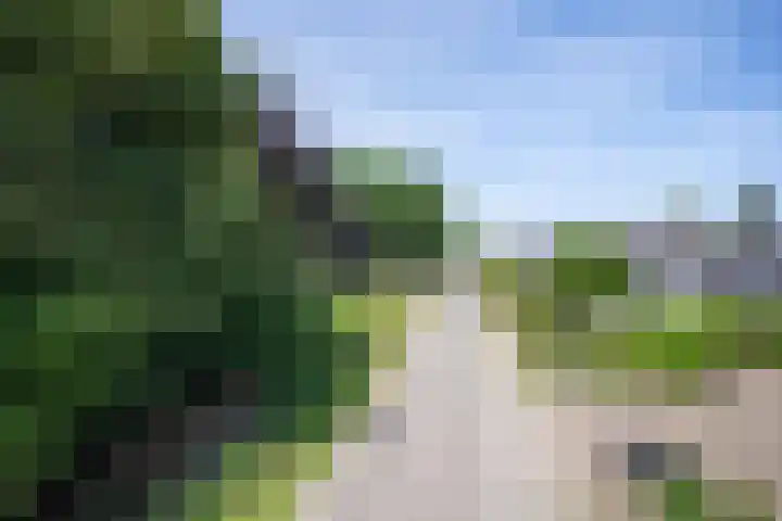 Garststraat 1 Maurik thumbnail 11