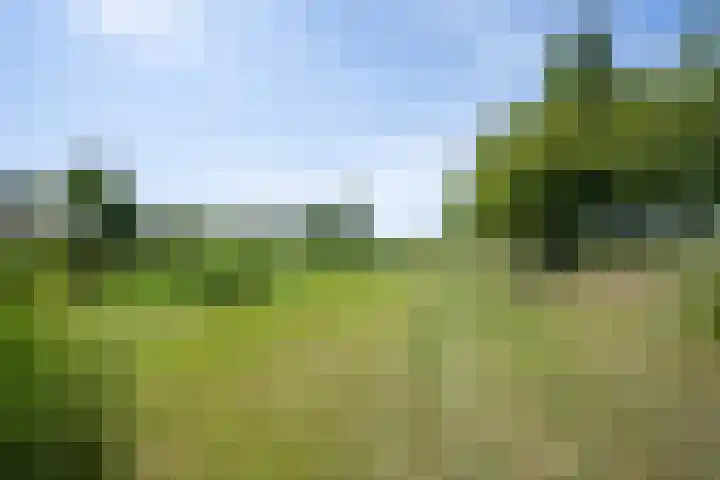 Garststraat 1 Maurik thumbnail 112