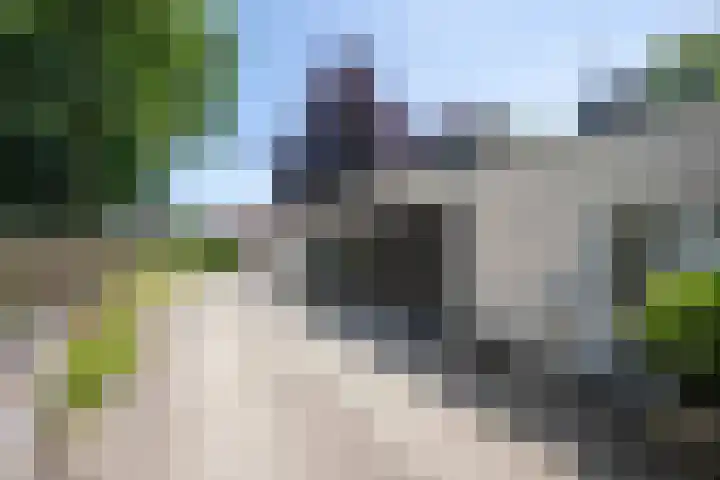 Garststraat 1 Maurik thumbnail 21