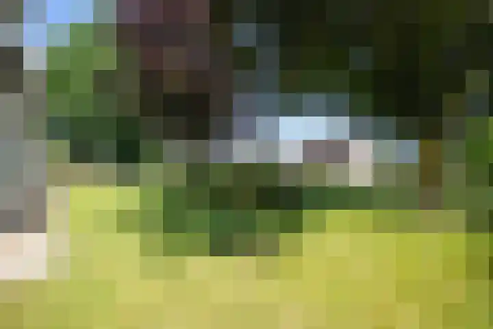Garststraat 1 Maurik thumbnail 23