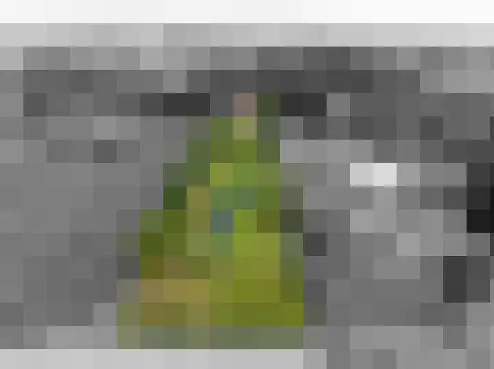 Garststraat 1 Maurik thumbnail 4