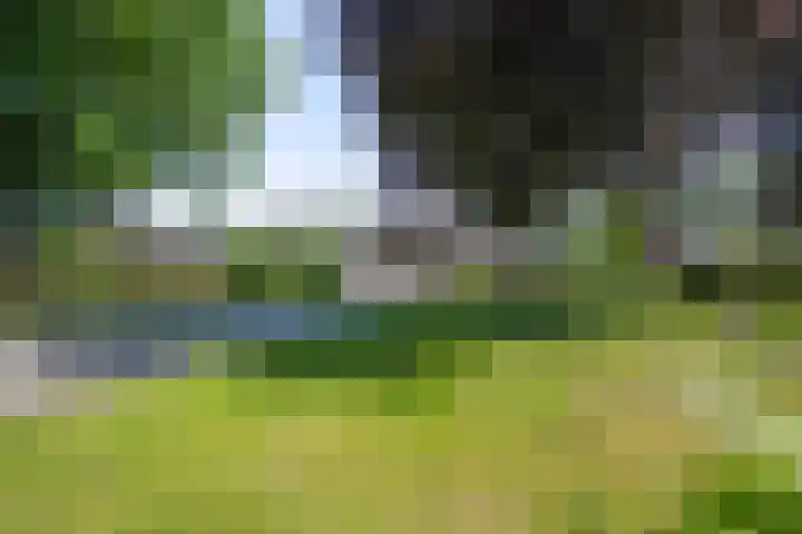 Garststraat 1 Maurik thumbnail 9