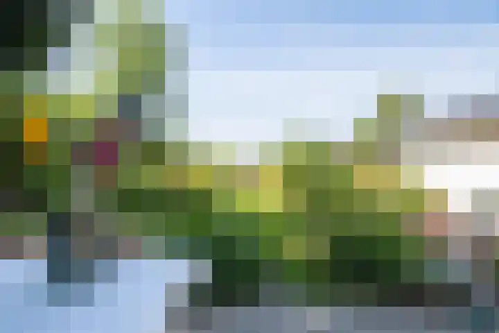 Garststraat 1 Maurik thumbnail 91