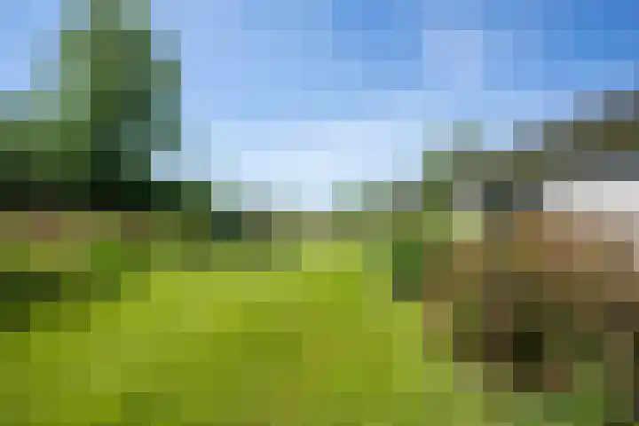 Garststraat 1 Maurik thumbnail 96