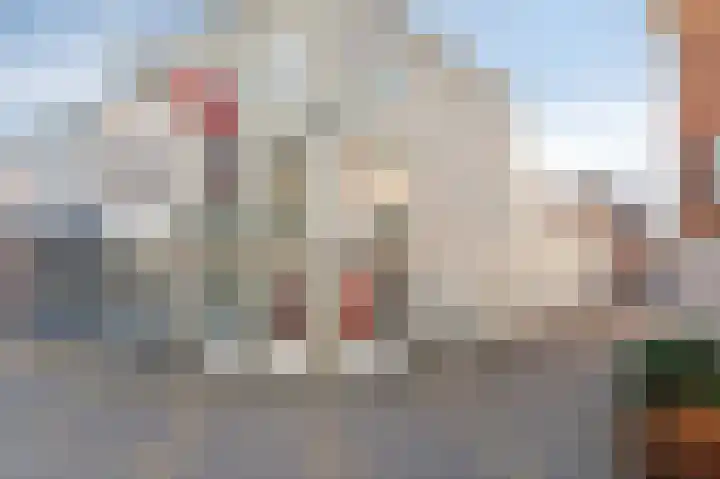Gart Seevinckgang 1 Doetinchem thumbnail 9