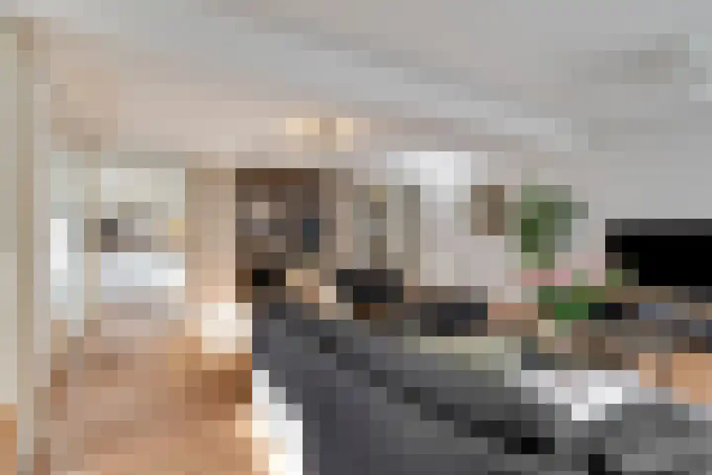 Gart Seevinckgang 8 Doetinchem thumbnail 15