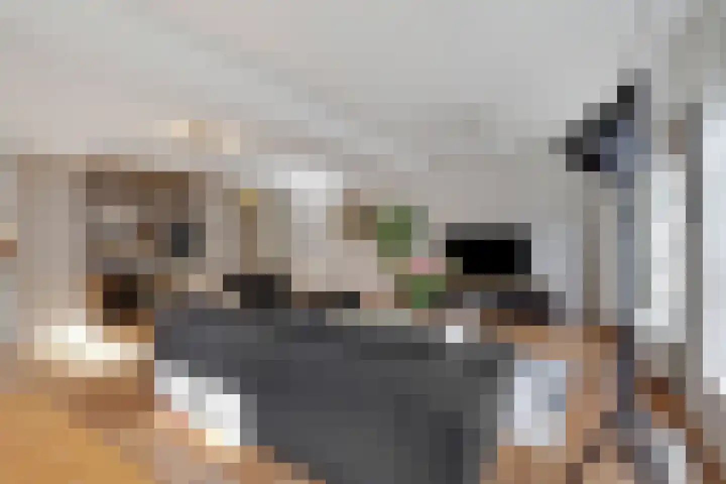 Gart Seevinckgang 8 Doetinchem thumbnail 20