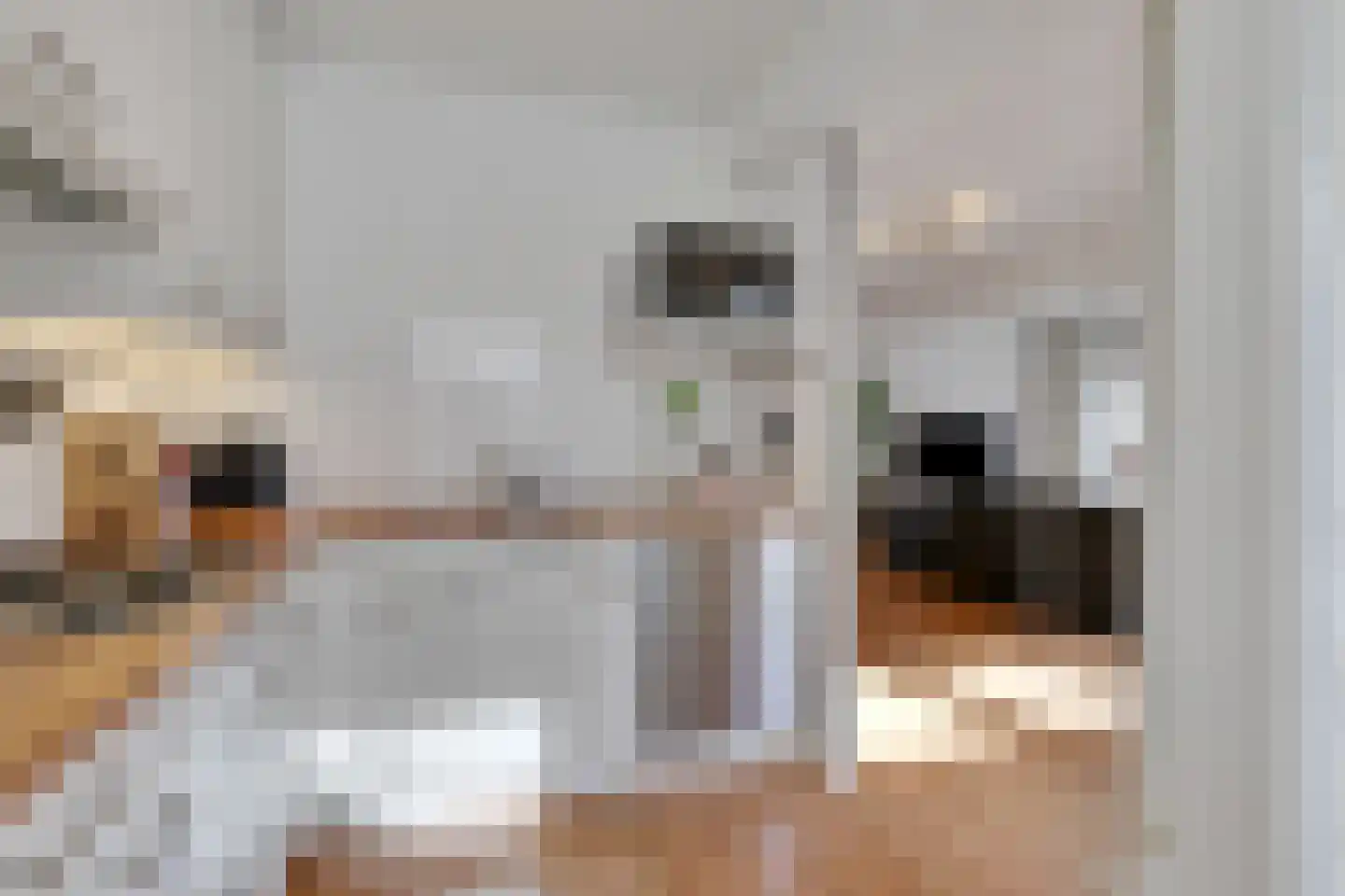 Gart Seevinckgang 8 Doetinchem thumbnail 31