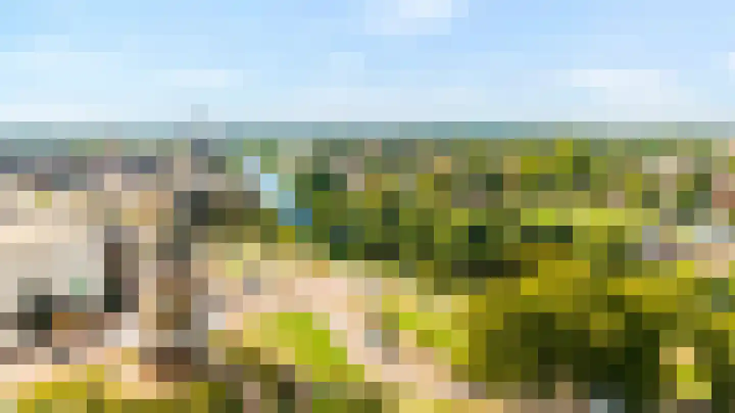 Gart Seevinckgang 8 Doetinchem thumbnail 50
