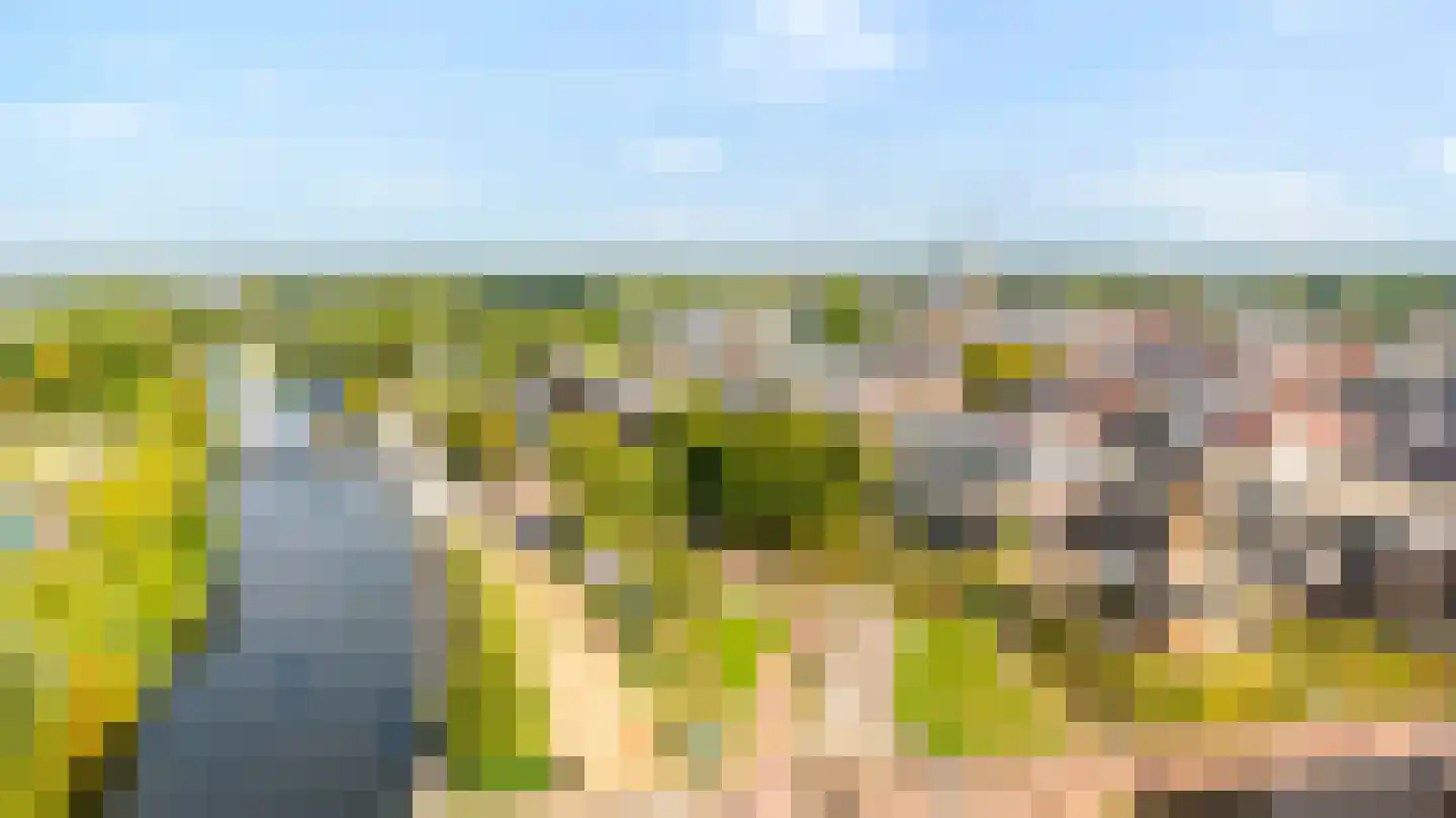 Gart Seevinckgang 8 Doetinchem thumbnail 52