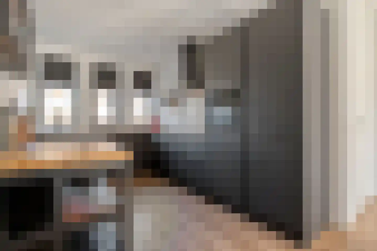 Garthoffstraat 2 F Zwolle thumbnail 17