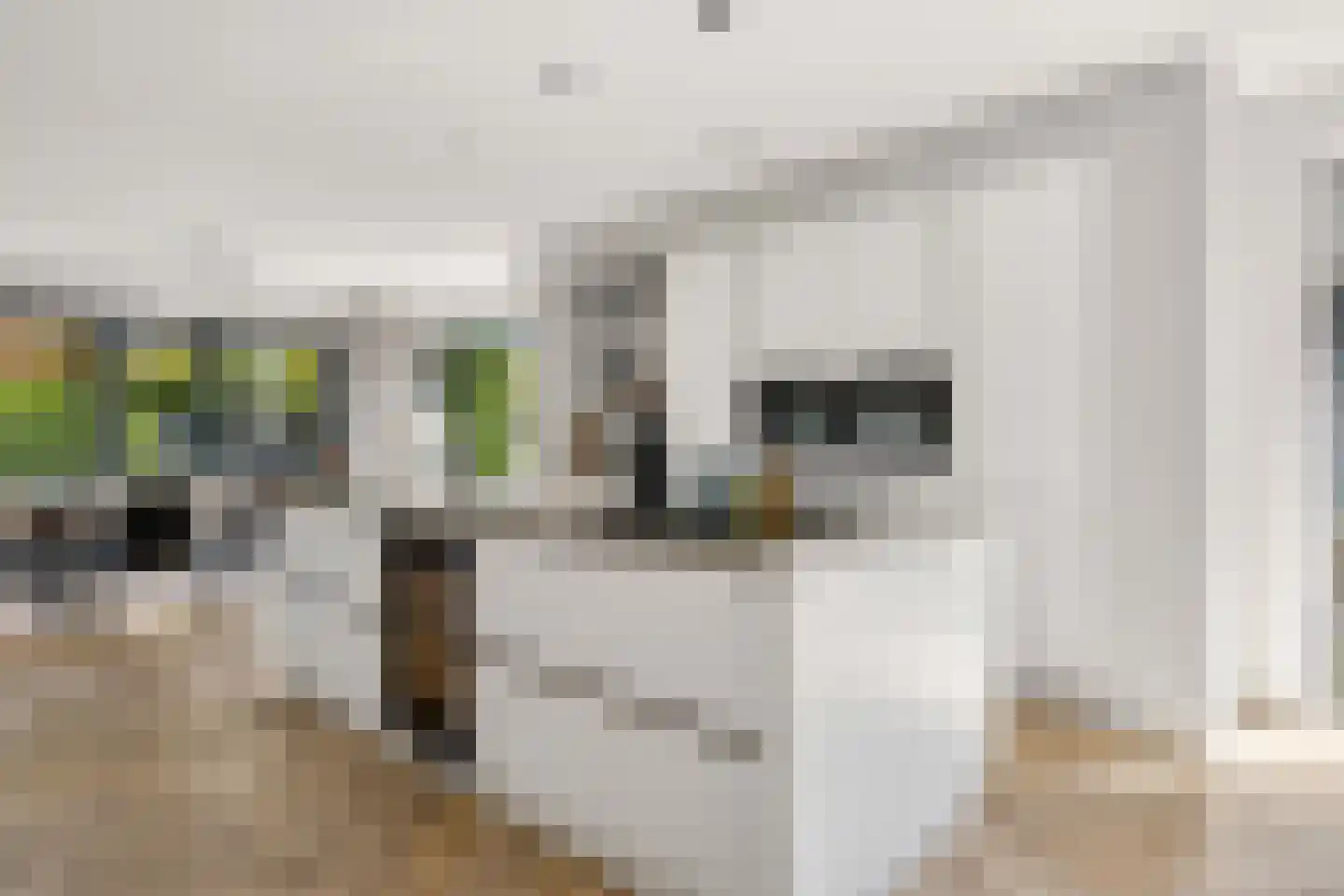 Garthoffstraat 29 Zwolle thumbnail 14