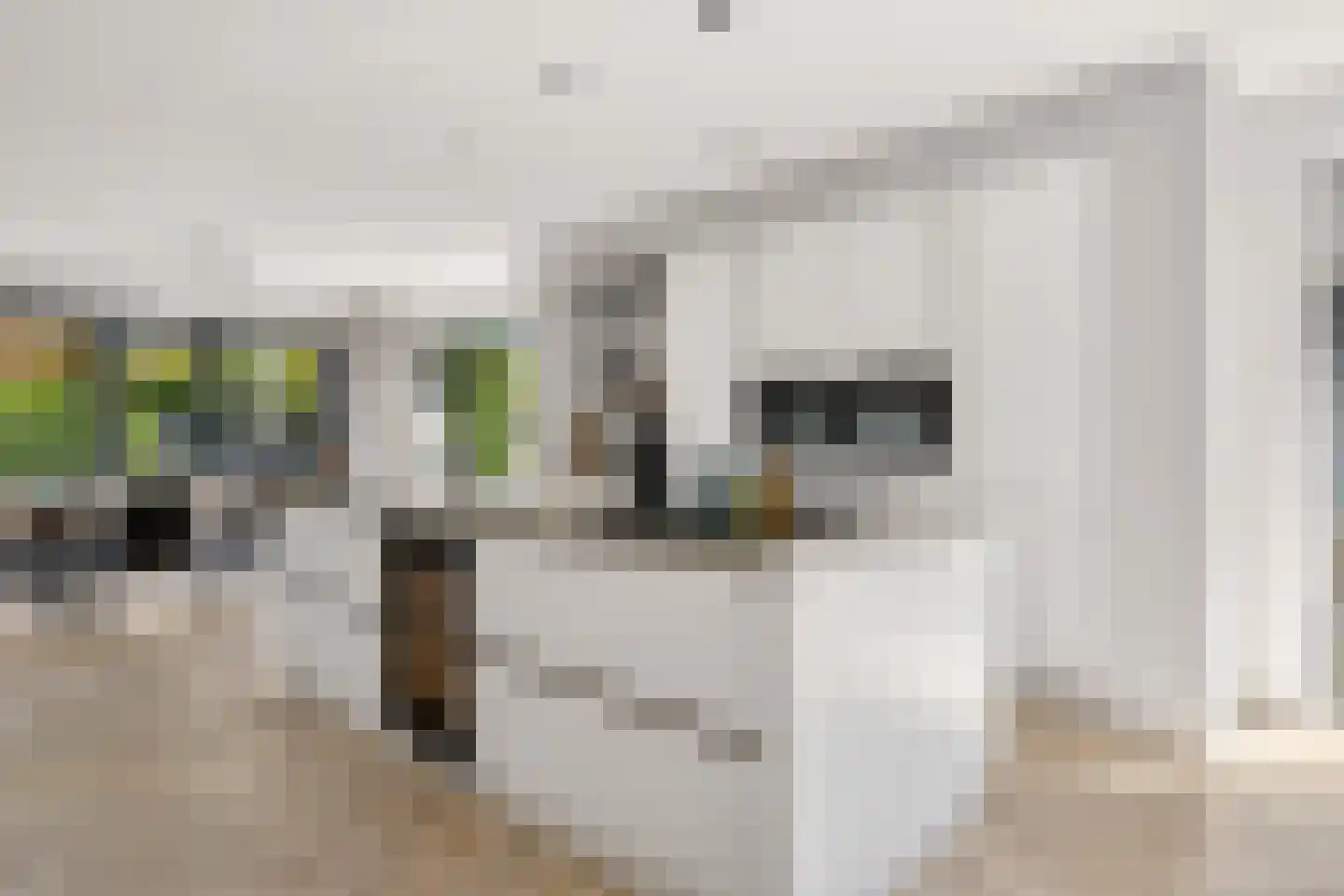 Garthoffstraat 29 Zwolle thumbnail 15
