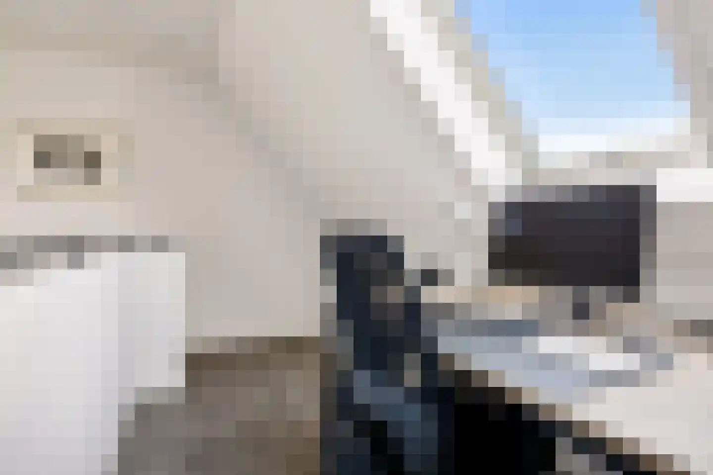 Garthoffstraat 29 Zwolle thumbnail 25