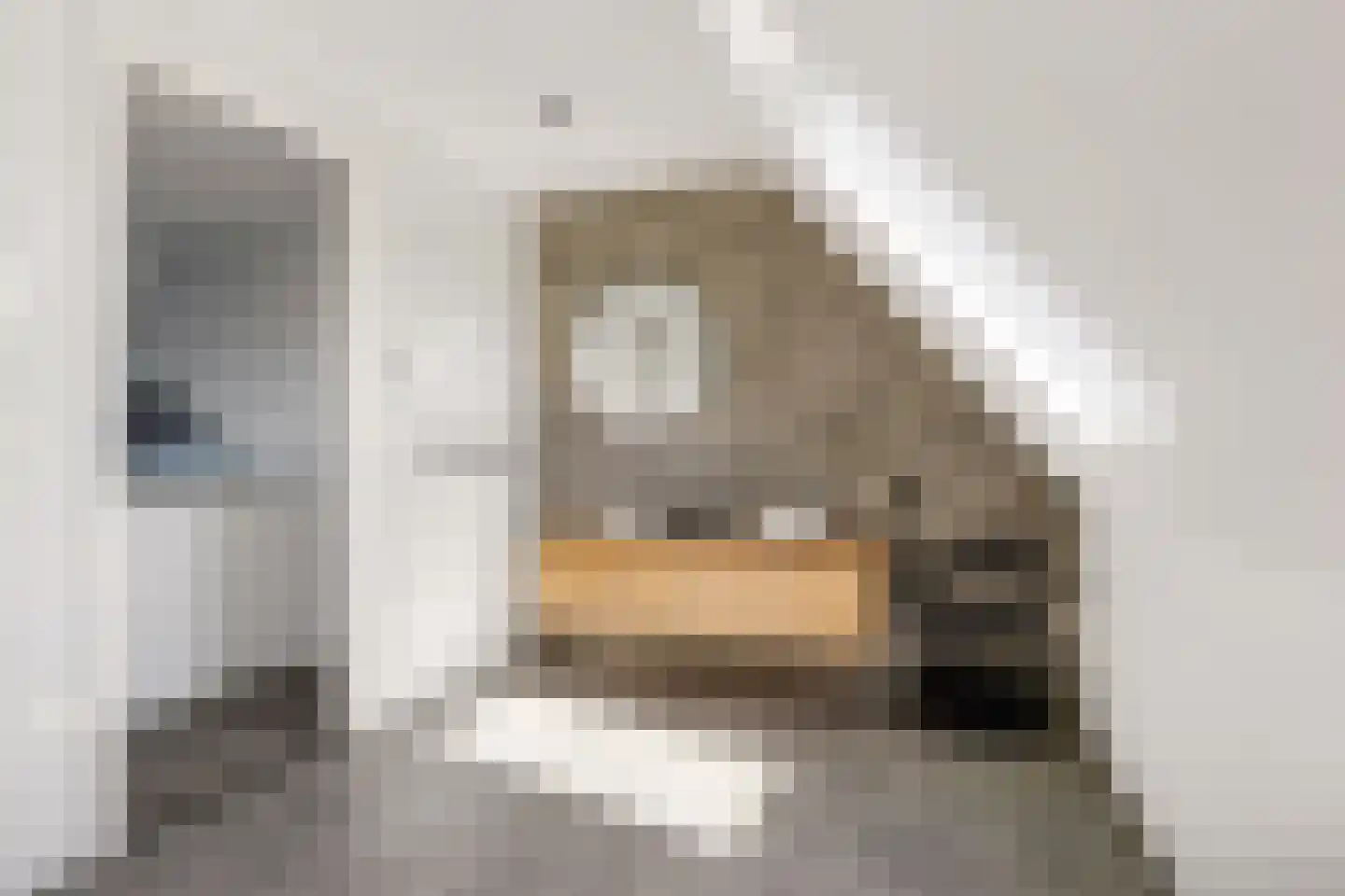 Garthoffstraat 29 Zwolle thumbnail 33