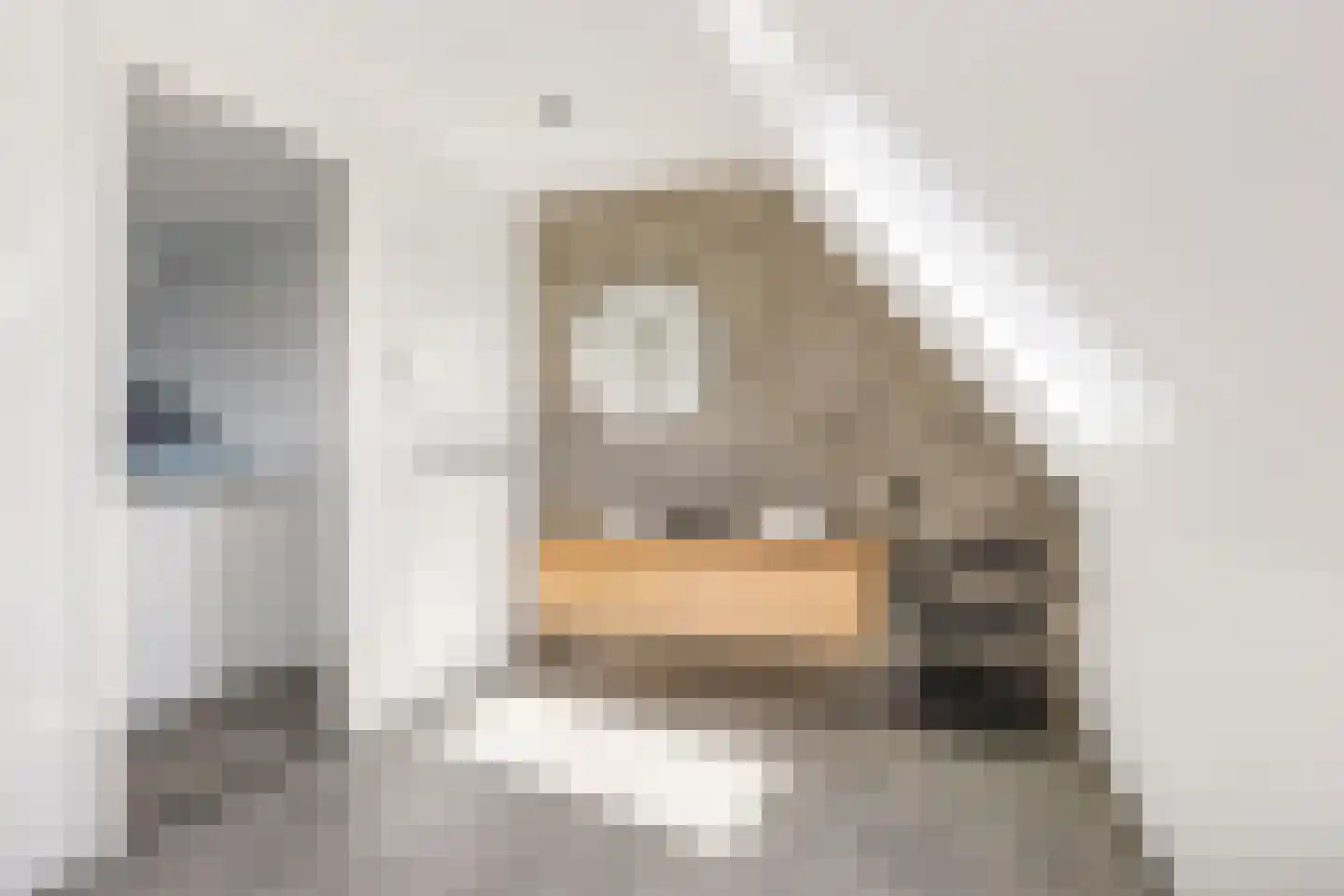 Garthoffstraat 29 Zwolle thumbnail 34