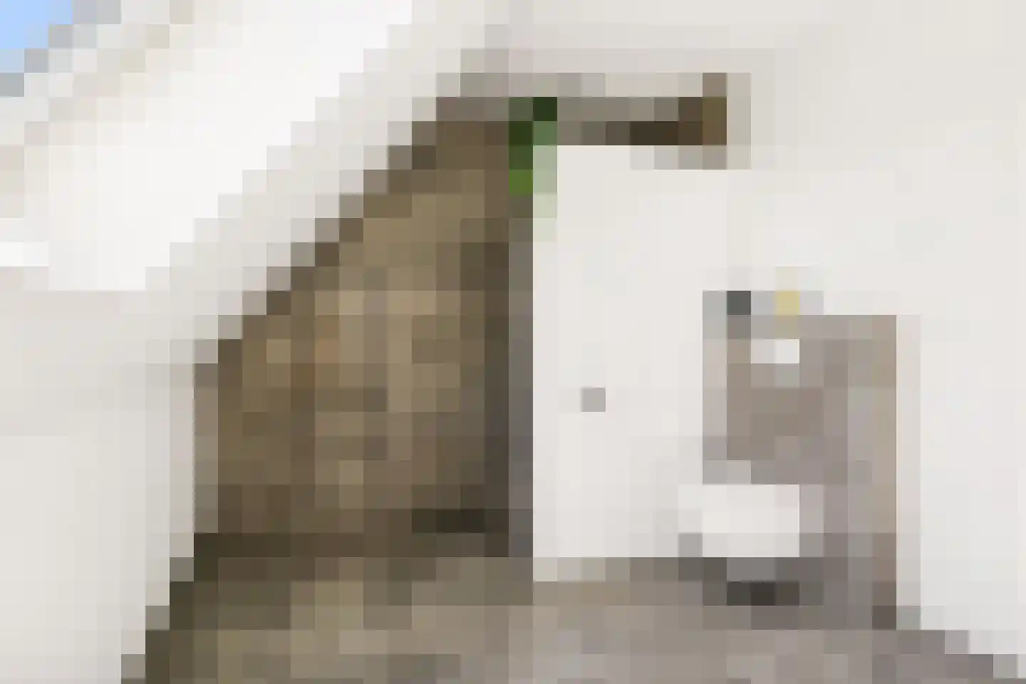 Garthoffstraat 29 Zwolle thumbnail 36