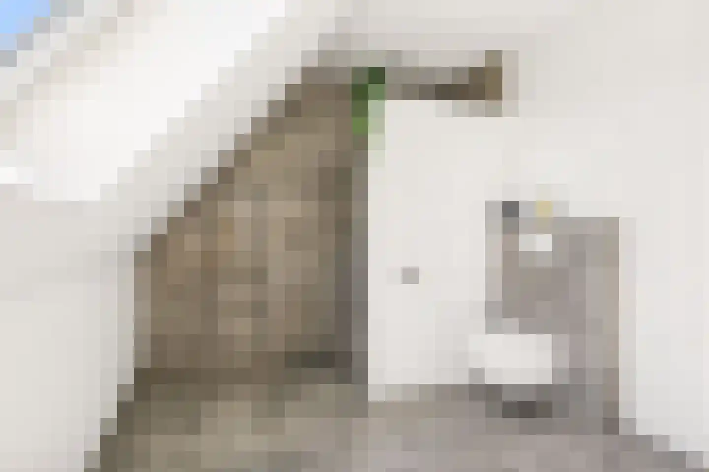 Garthoffstraat 29 Zwolle thumbnail 37
