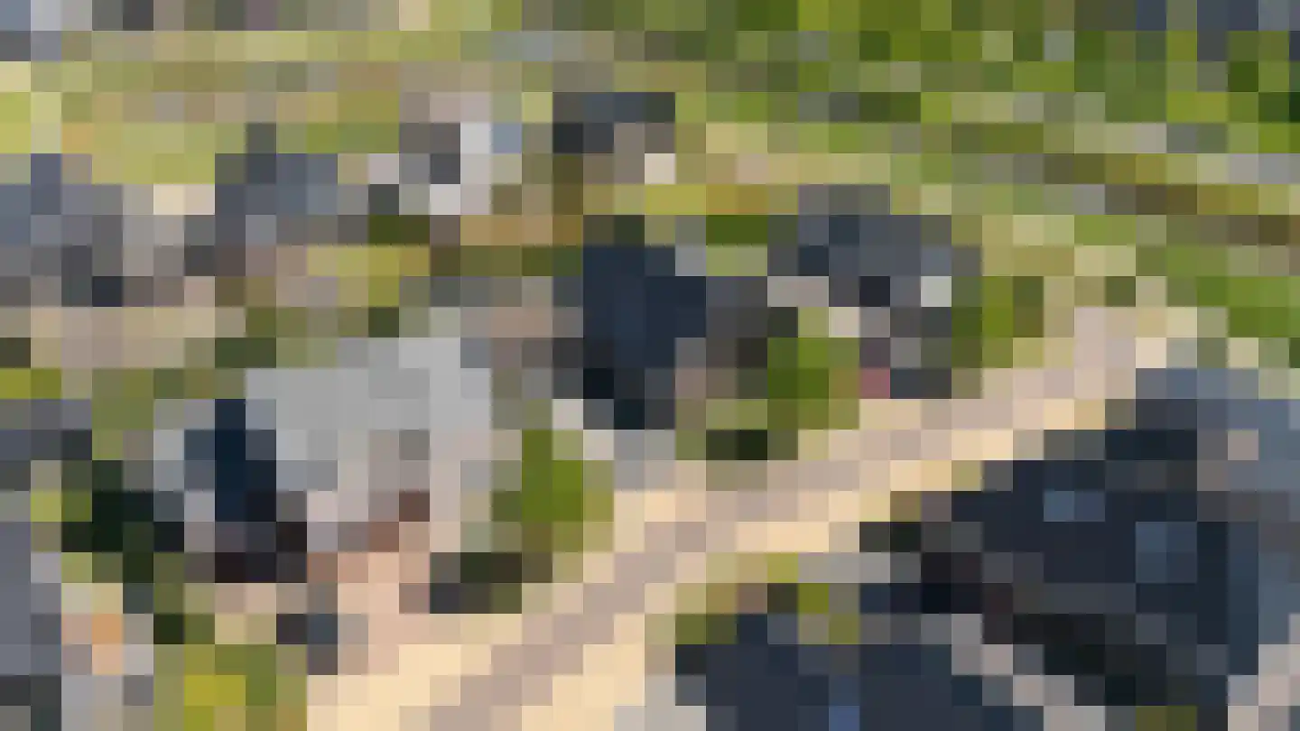 Garthoffstraat 29 Zwolle thumbnail 53