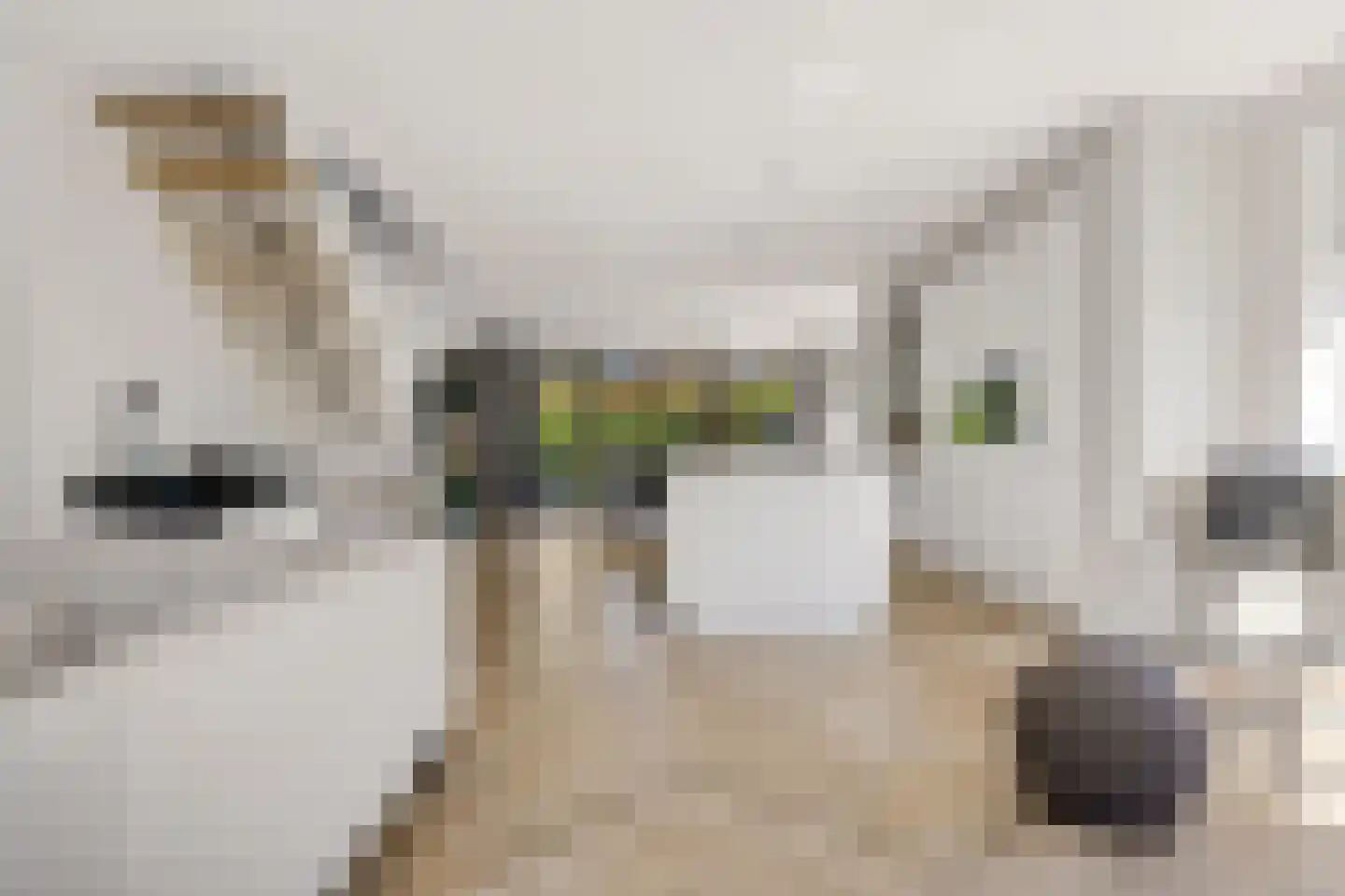 Garthoffstraat 29 Zwolle thumbnail 8
