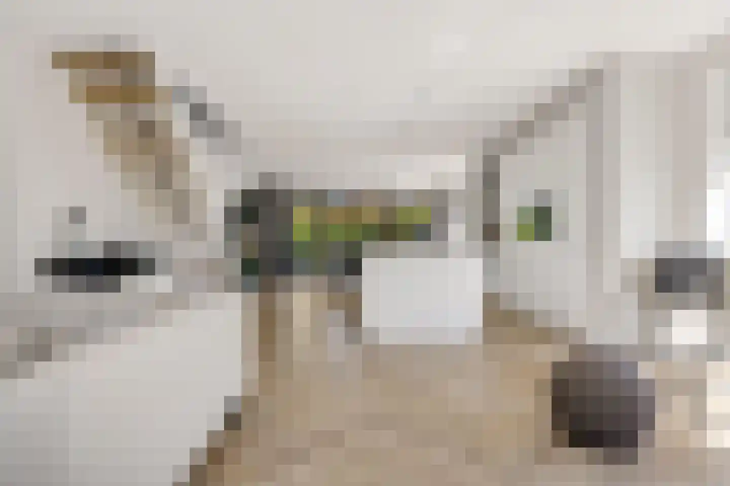 Garthoffstraat 29 Zwolle thumbnail 9