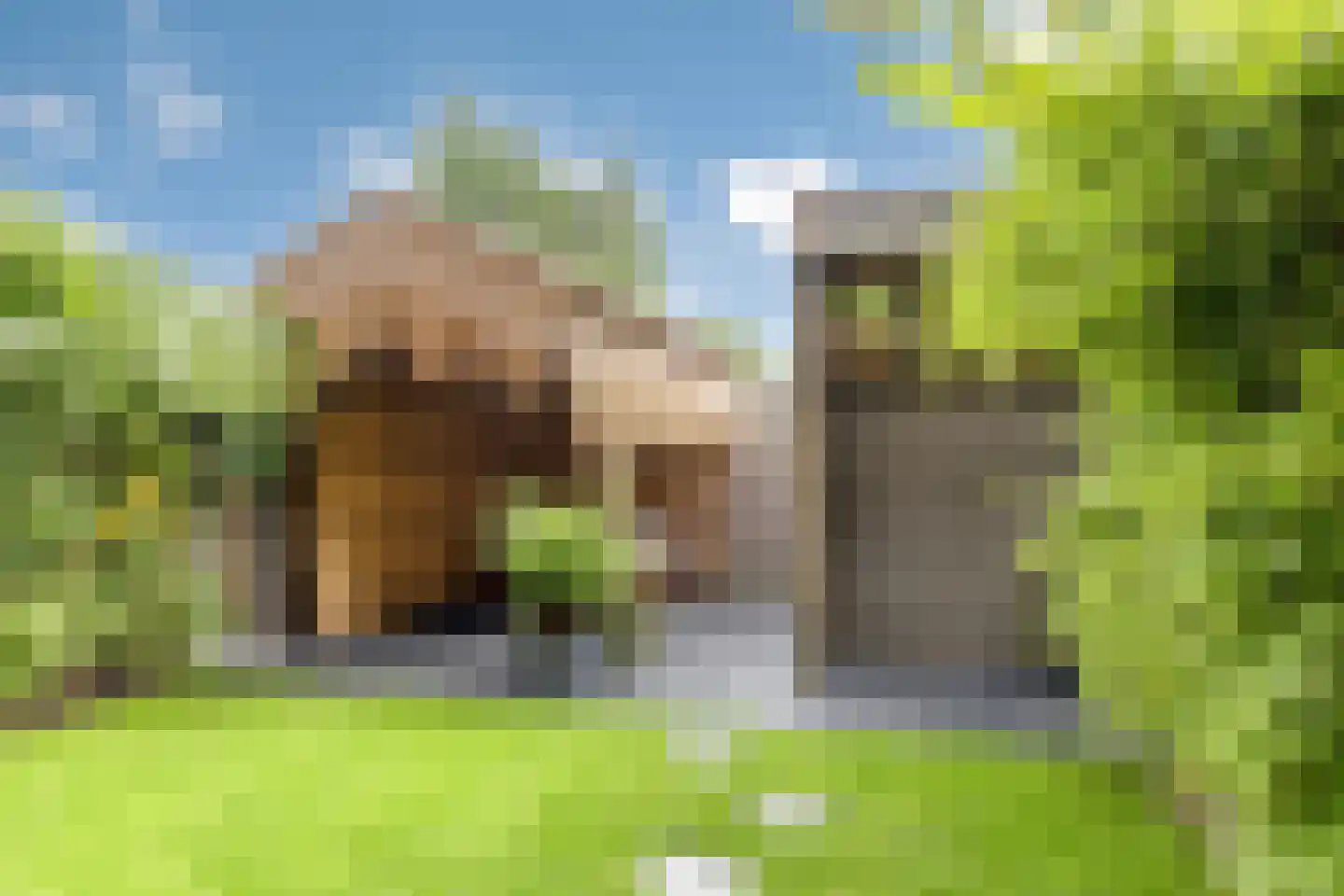 Garthoffstraat 4 B Zwolle thumbnail 22