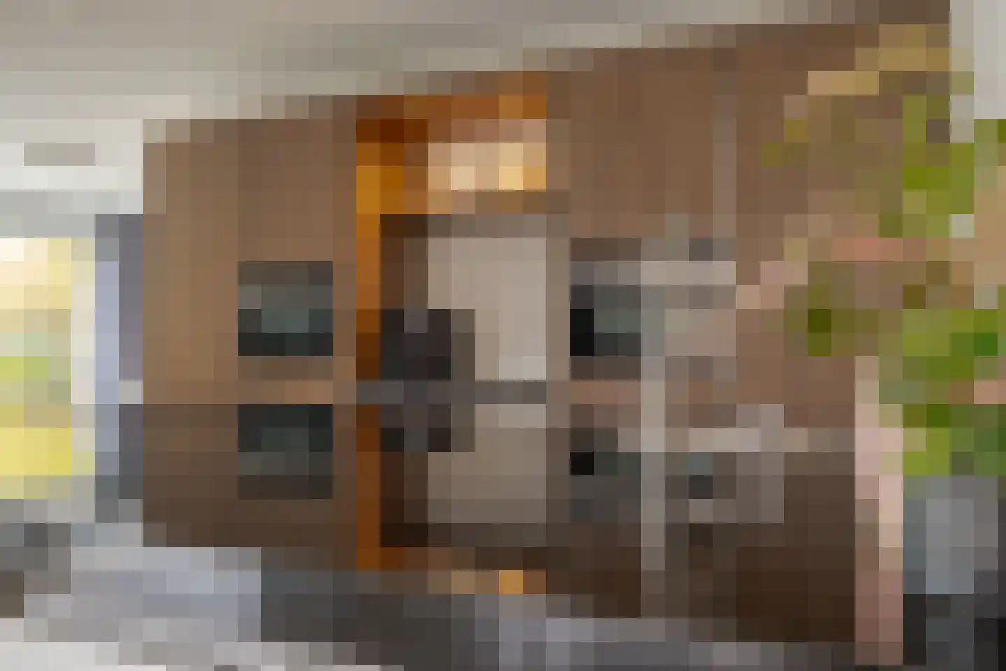 Garthoffstraat 45 Zwolle thumbnail 21