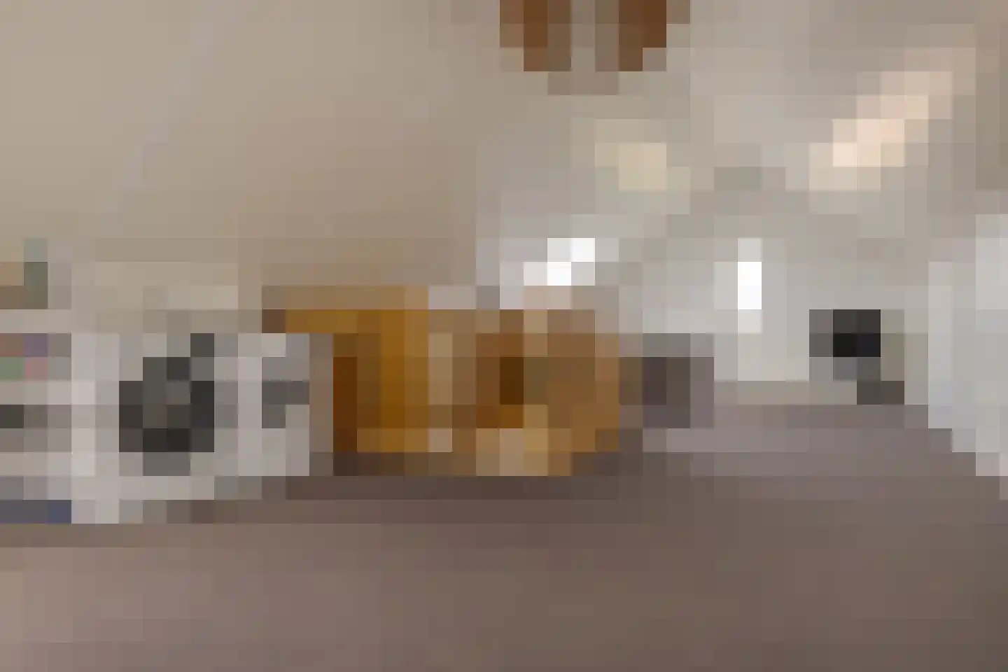 Garthoffstraat 45 Zwolle thumbnail 57