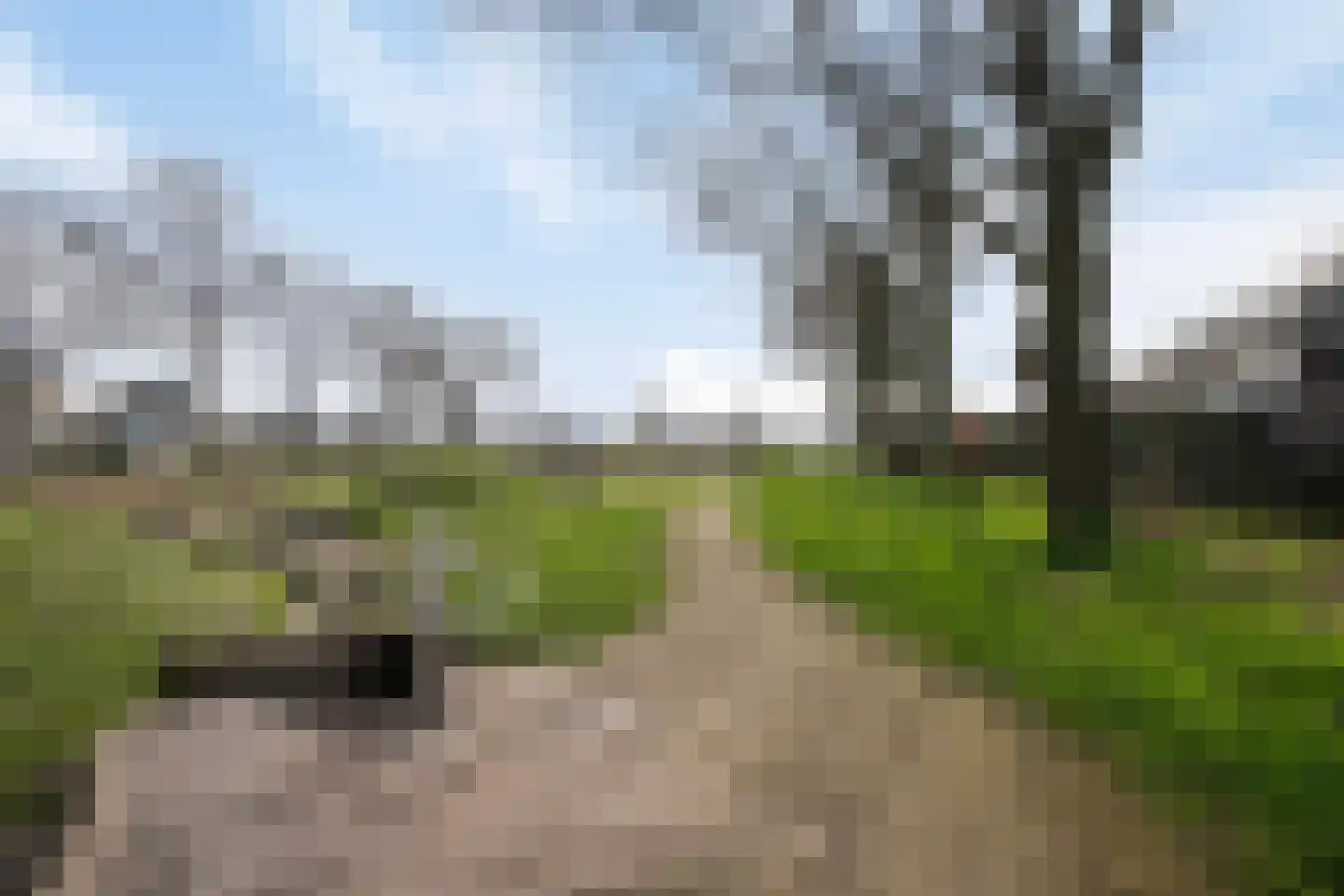 Garve 28 Someren thumbnail 10