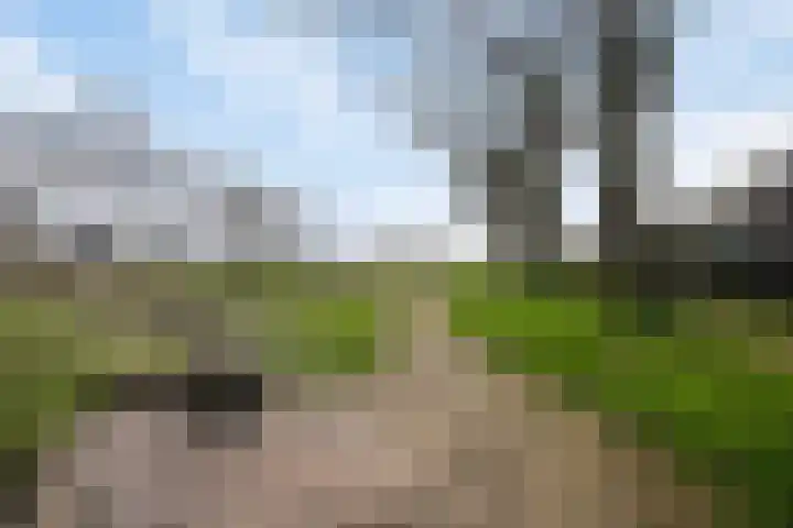Garve 28 Someren thumbnail 10