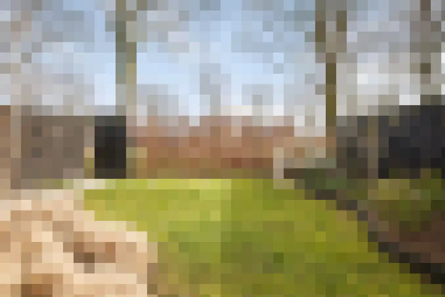 Garve 28 Someren thumbnail 47