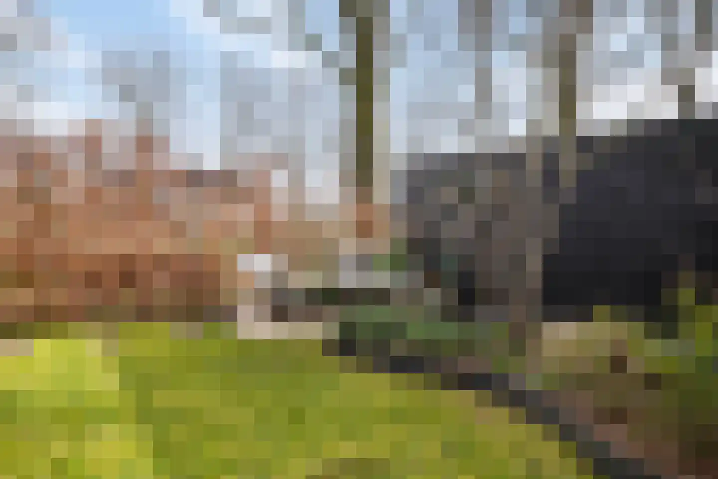 Garve 28 Someren thumbnail 48