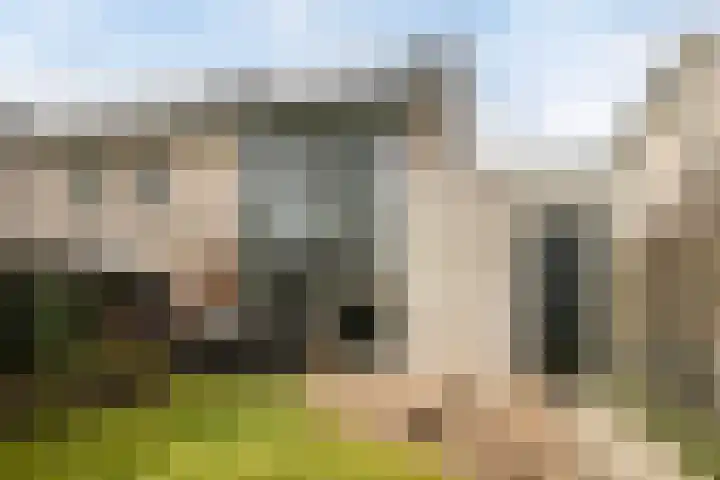 Garve 28 Someren thumbnail 5