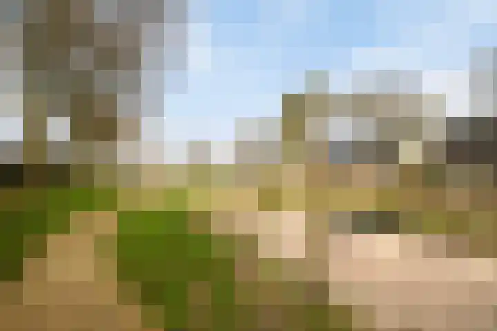 Garve 28 Someren thumbnail 52