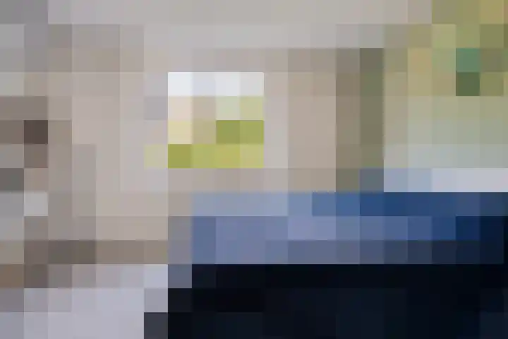 Garve 8 Erica thumbnail 13