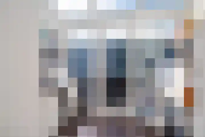 Garve 8 Erica thumbnail 19