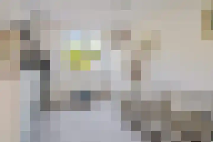 Garve 8 Erica thumbnail 20