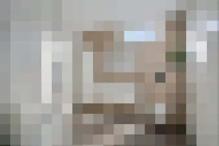 Garve 8 Erica thumbnail 25
