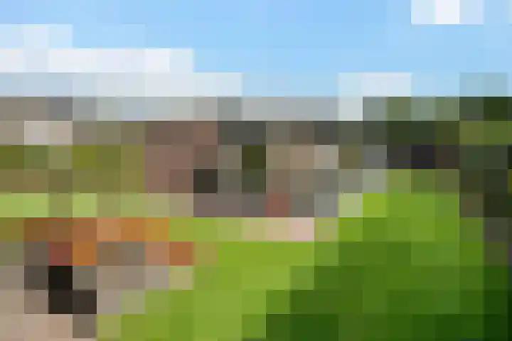 Garve 8 Erica thumbnail 30