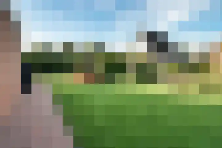 Garve 8 Erica thumbnail 31