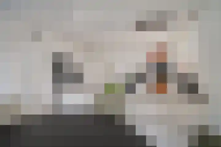 Garve 8 Erica thumbnail 9