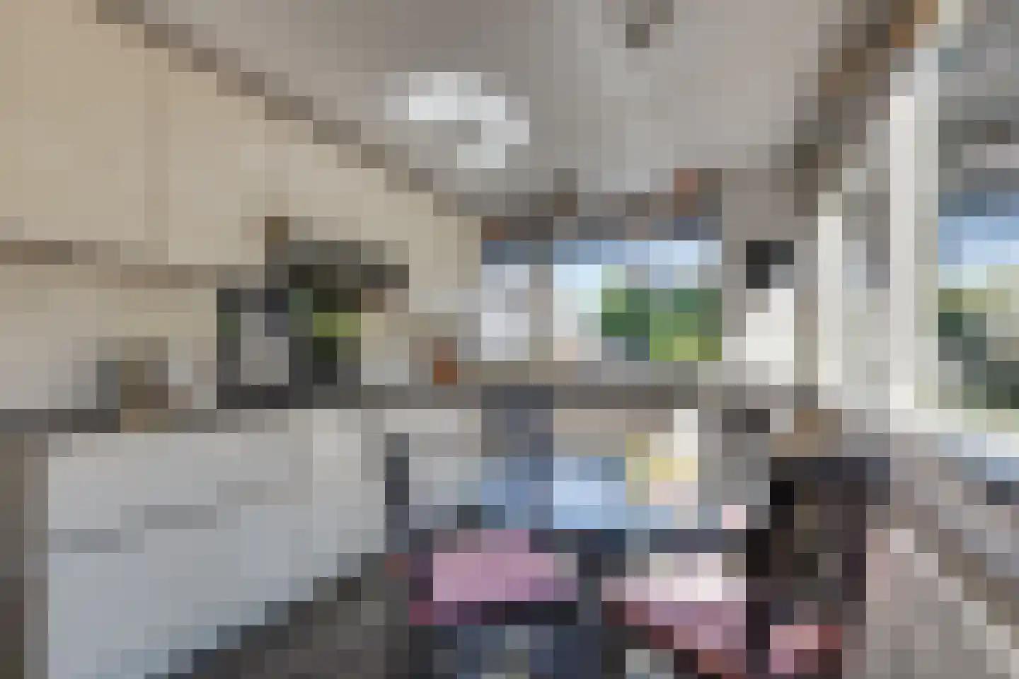 Garvelinkkampweg 14 Ruurlo thumbnail 10