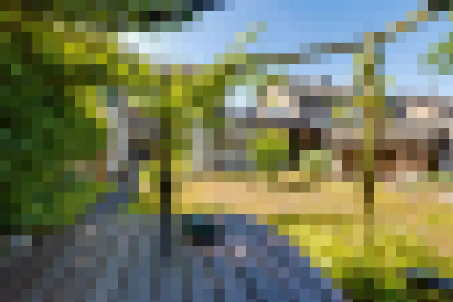 Garvelinkkampweg 14 Ruurlo thumbnail 31