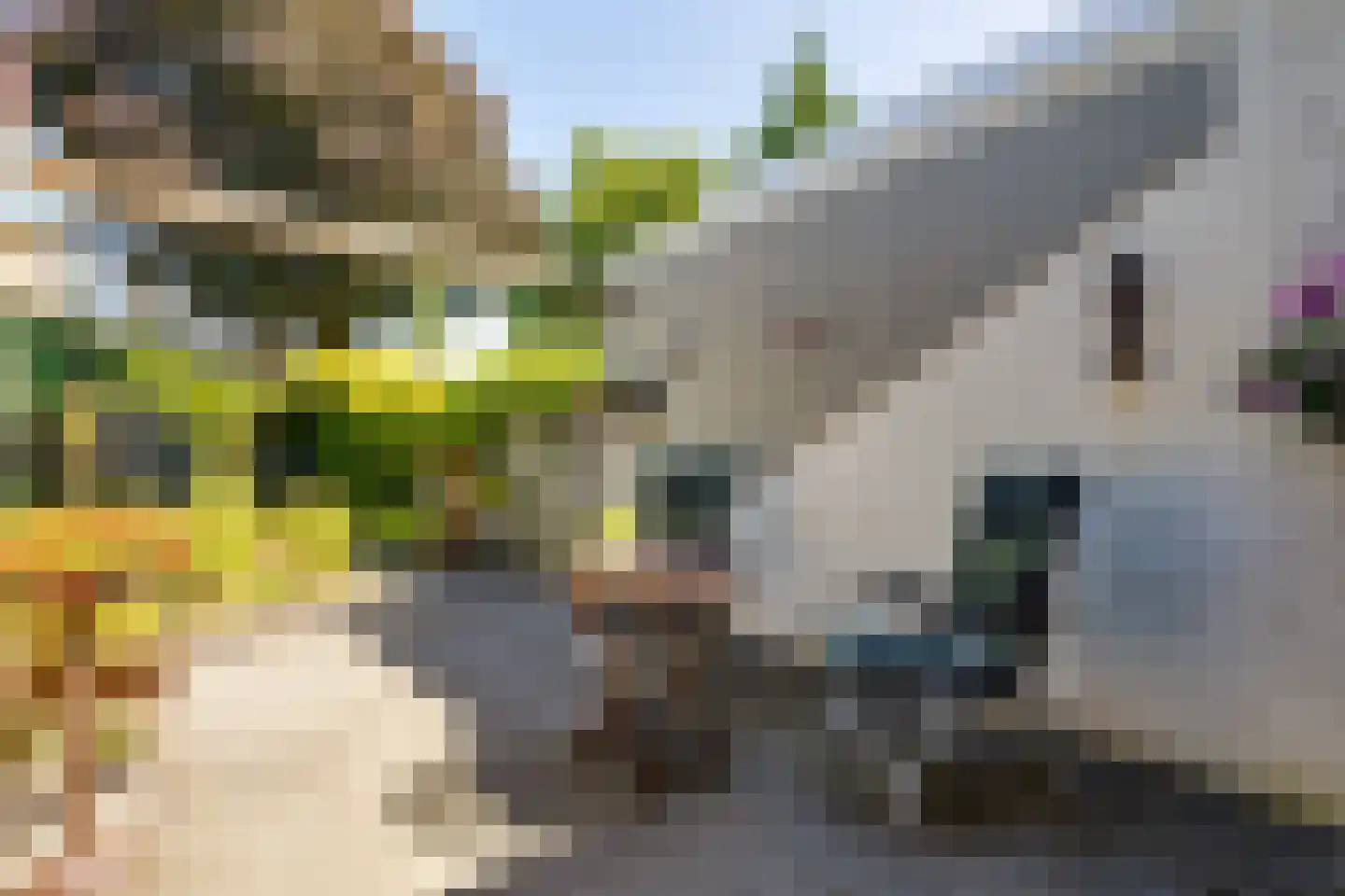 Garvelinkkampweg 14 Ruurlo thumbnail 32