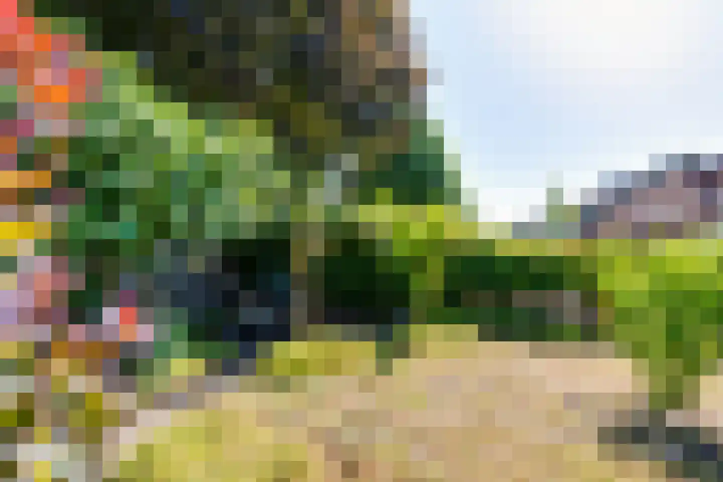 Garvelinkkampweg 14 Ruurlo thumbnail 38