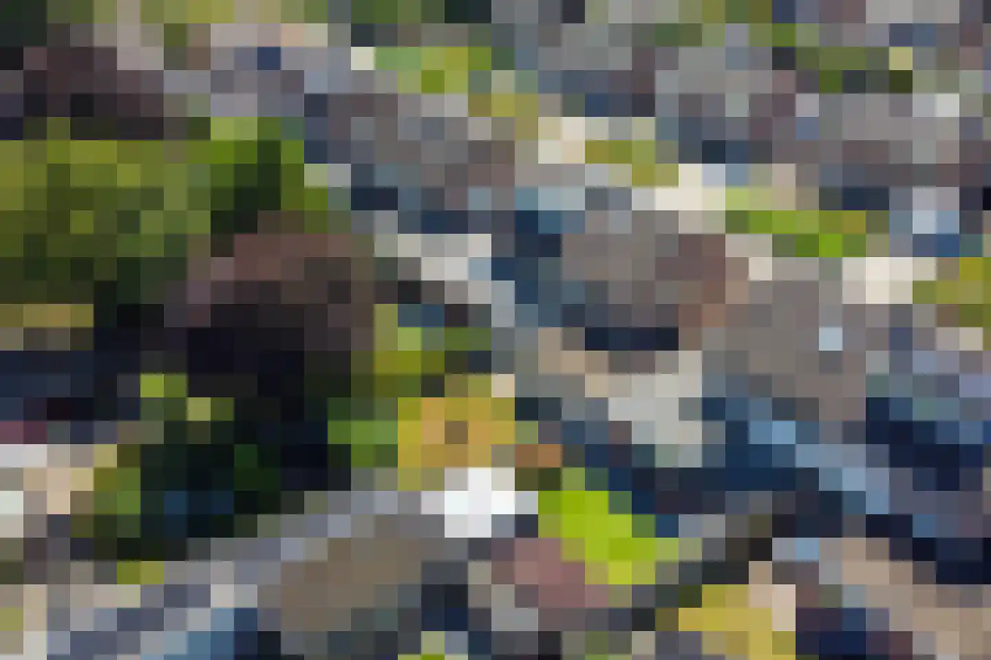 Garvelinkkampweg 14 Ruurlo thumbnail 40
