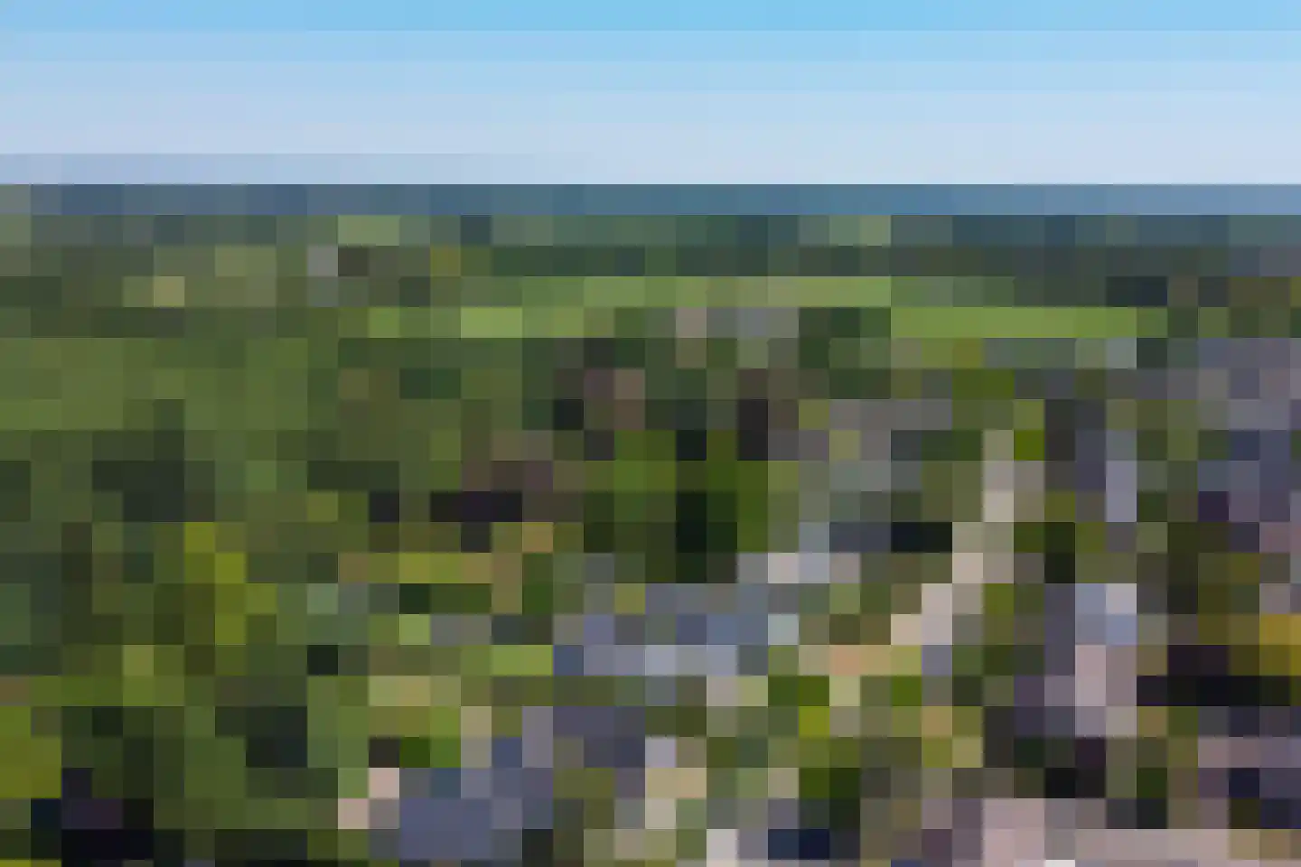 Garvelinkkampweg 14 Ruurlo thumbnail 44