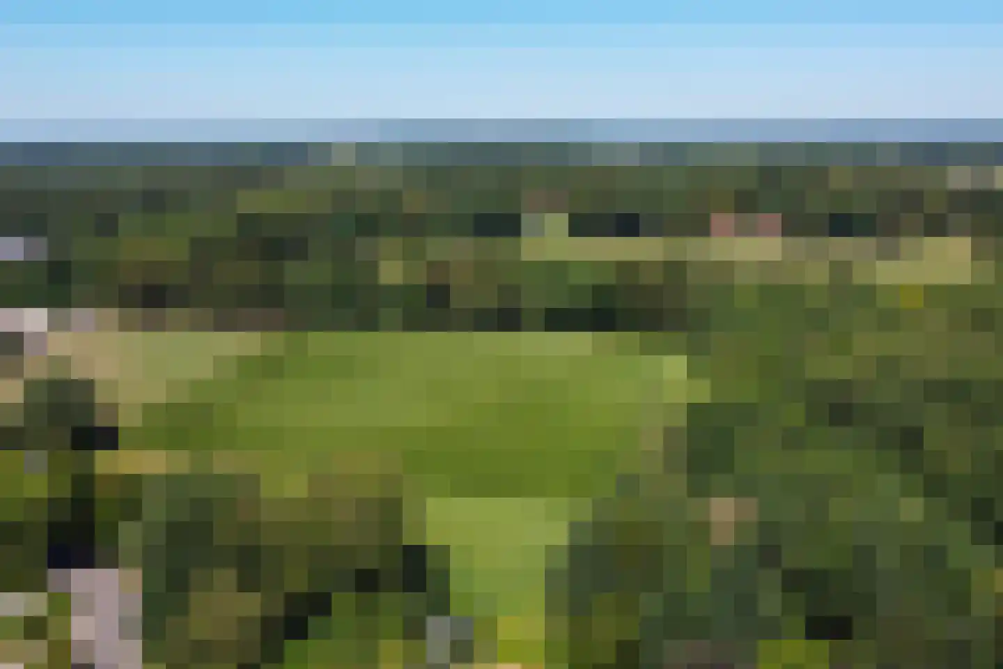 Garvelinkkampweg 14 Ruurlo thumbnail 45